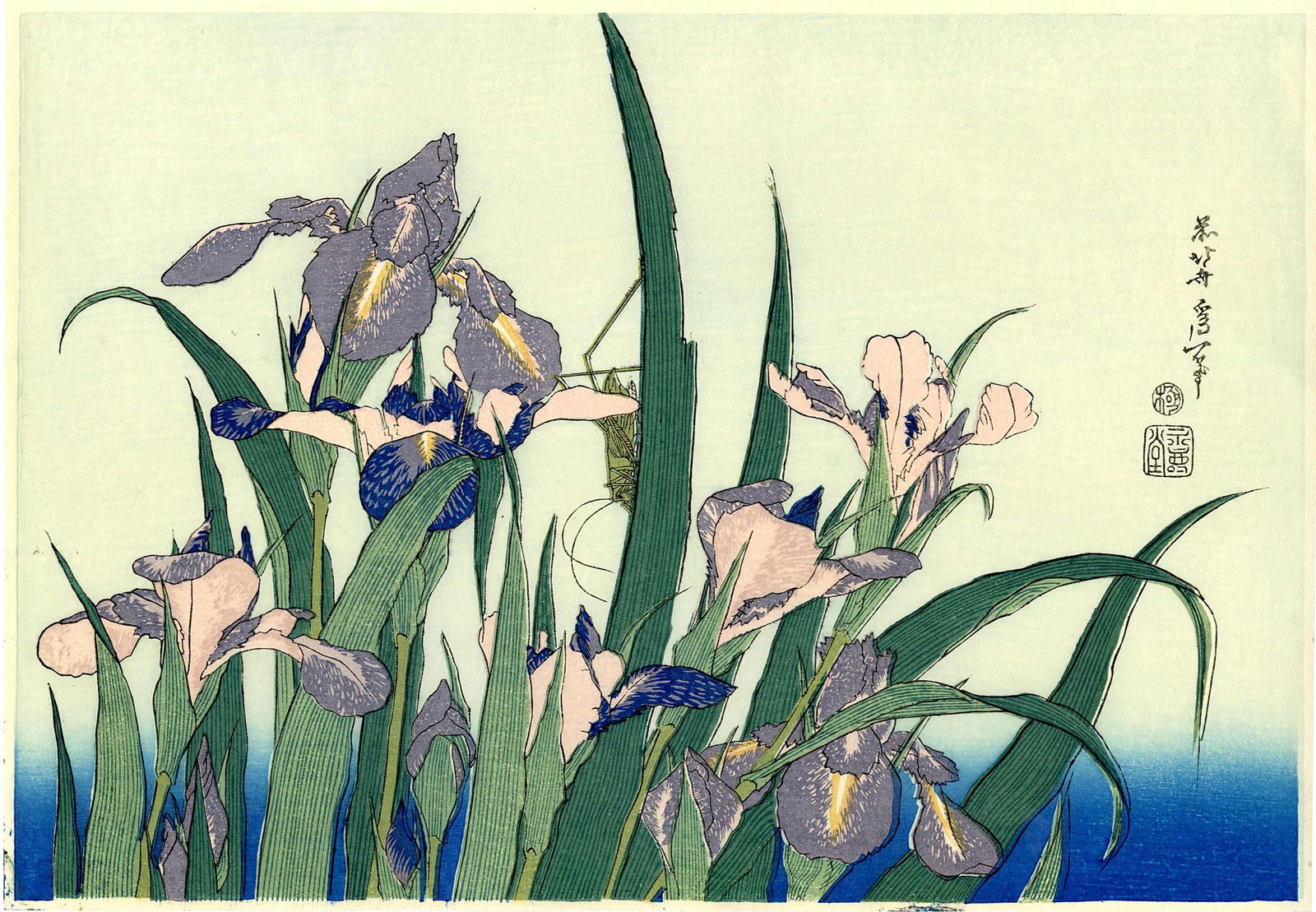 Hokusai Katsushika: Irises and Grasshopper Woodblock: Japanese Woodblock Print, Showa era edition published by Adachi from recarved blocks SIZE IN INCHES: oban 15.5 x 10.75 inches KATSUSHIKA HOKUSAI, who also used the names Shunro, Sori, Kako, Taito, Gak