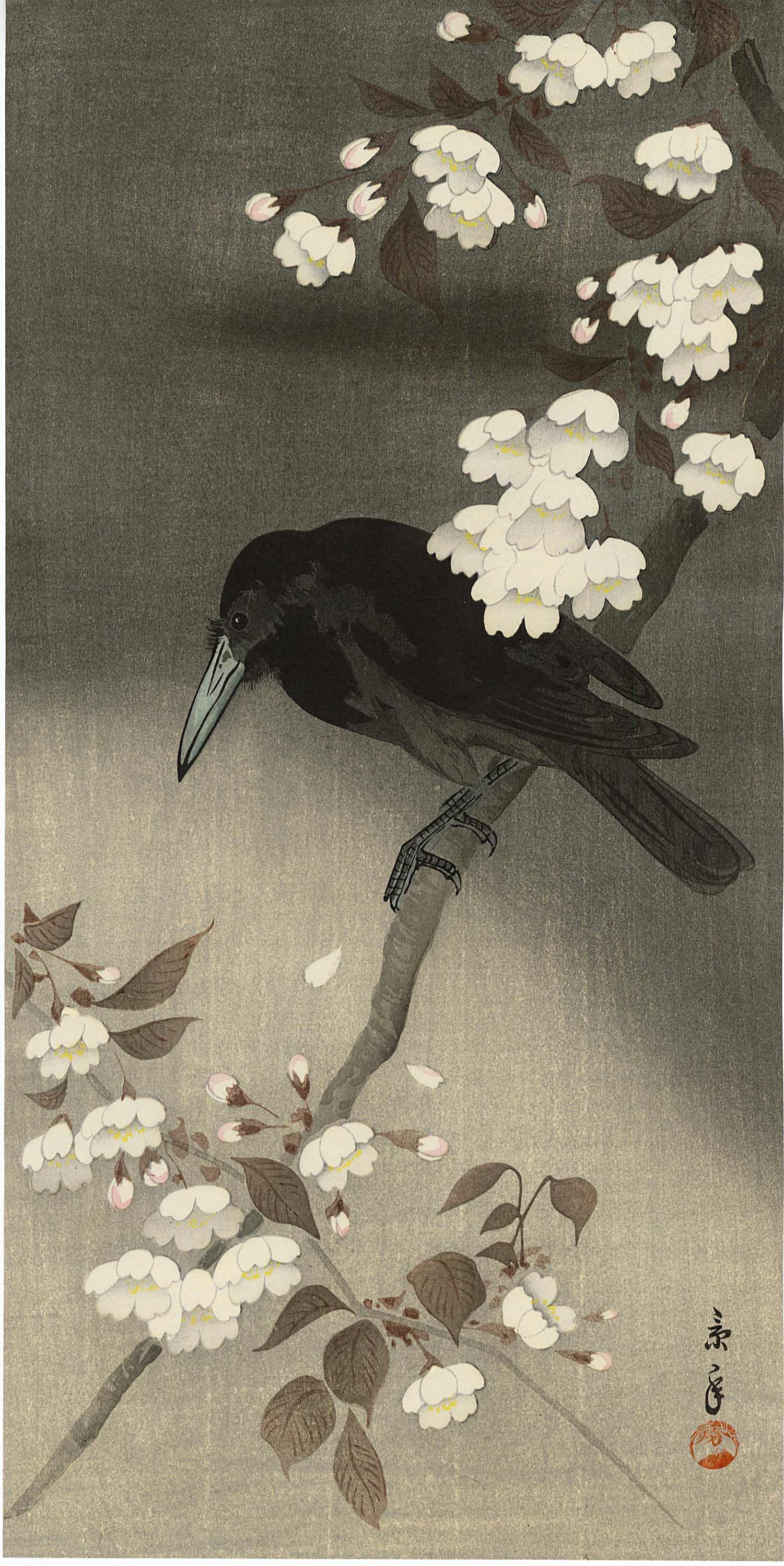 Keinen Imao: Crow on Cherry 1930s Woodblock NR: Japanese Woodblock Print, c.1930, published by the Shima Art Company, signed and sealed Keinen SIZE IN INCHES: 7.5 x 14.75 PROVENANCE: from the estate of Robert O. Muller IMAO KEINEN (1845-1924), whos