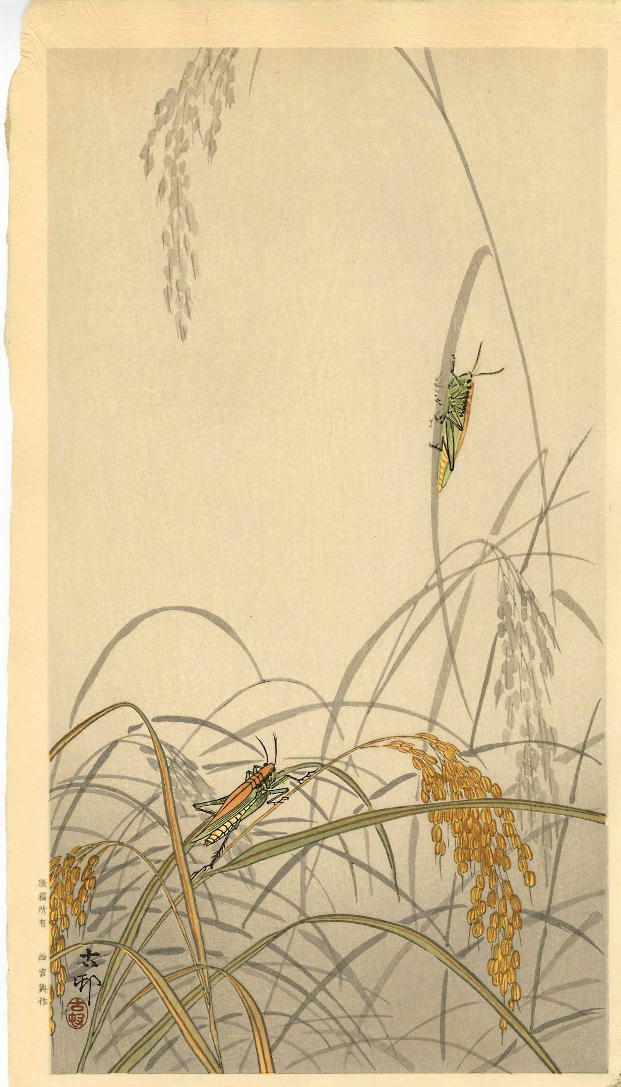 Ohara Koson: Grasshopper on Wheat 1930s Woodblock: Japanese Woodblock Print, c.1930s, published by. Nishinomiya SIZE IN INCHES: ohosoban, 8.5 x 14.5 inches PROVENANCE: From the Robert O. Muller estate OHARA KOSON (1877-1945), who also went by the art