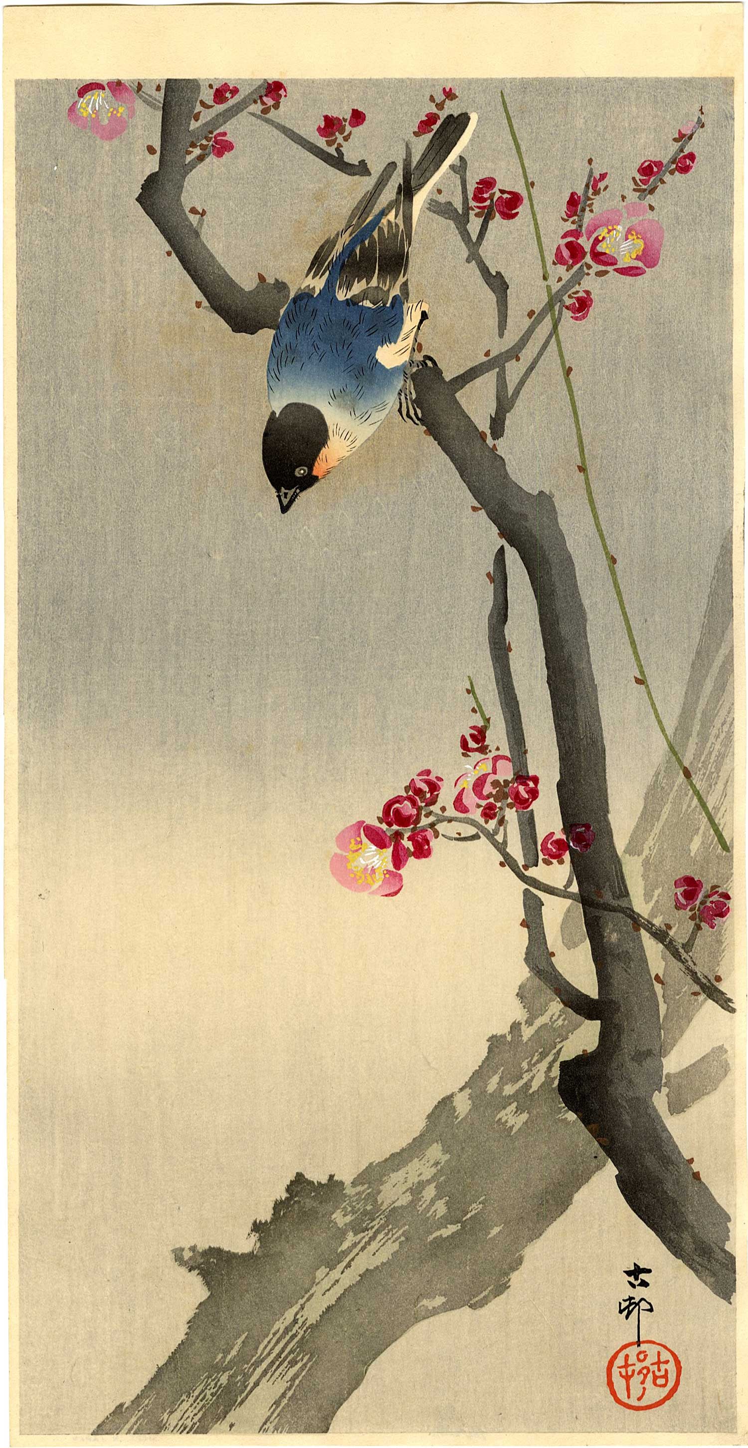 Ohara Koson: Blue Bird on a Plum Tree 1920s Woodblock: Japanese Woodblock Print, 1920s, published by Daikokuya SIZE IN INCHES: ohosoban, 14.25 x 7.5 inches PROVENANCE: From the Robert O. Muller estate OHARA KOSON (1877-1945), who also went by the art name