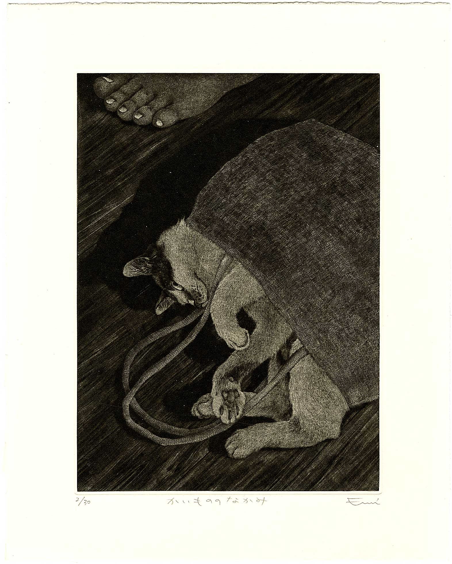 Sato Emi: Inside the Sea Mezzotint 1st Edtion c.2000 NR: Japanese Woodblock Mezzotint, self published, c.2000, 1st Edition limited edition, numbered 2/30, titled and signed in pencil in the bottom margin SIZE IN INCHES: 10.25 x 13 inches SATO EMI (b.1973) a