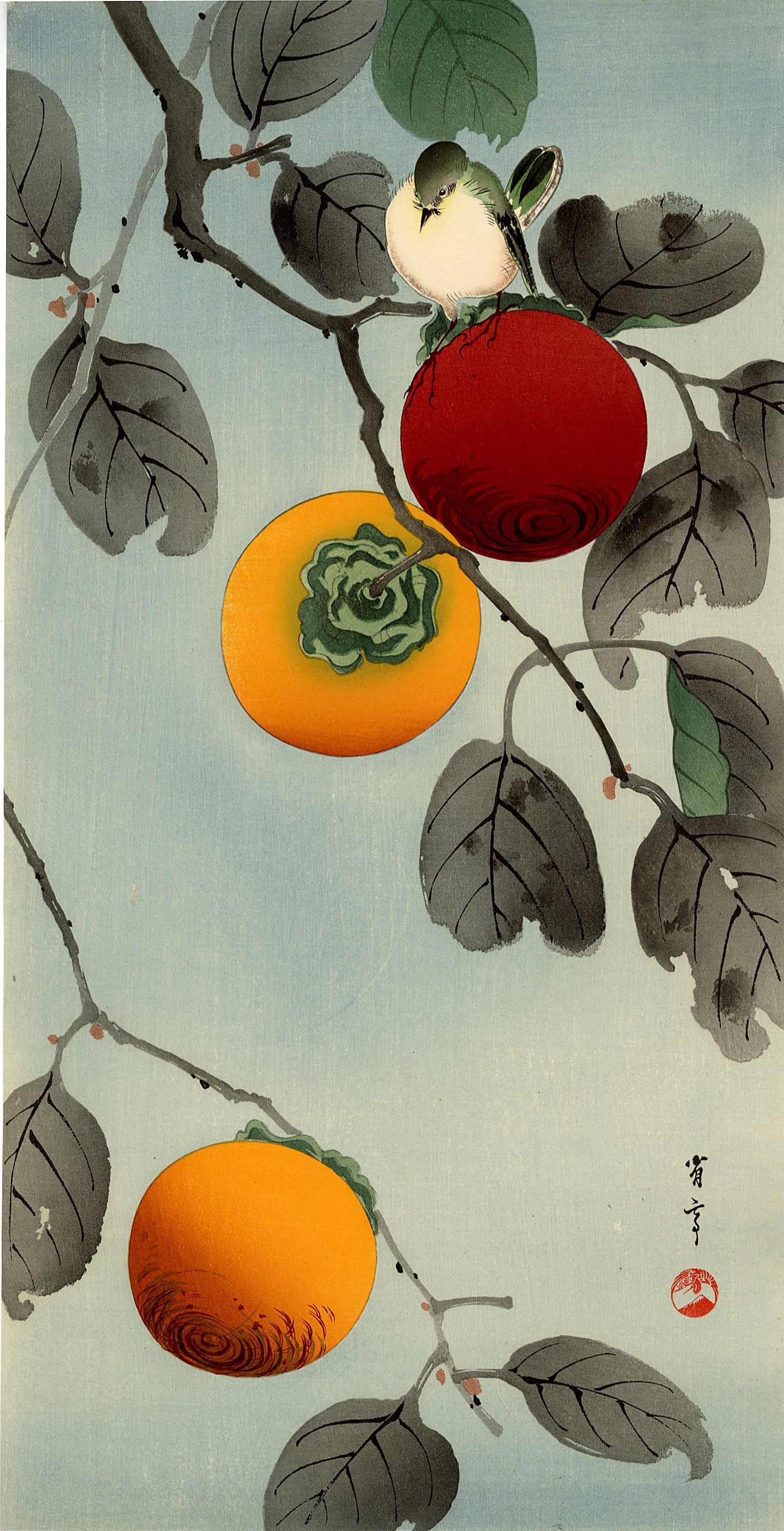 Seitei Watanabe: Nuthatch & Persimmon 1930s Woodblock NR: Japanese Woodblock Print, c.1930, published by the Shima Art Co., signed and sealed Seitei. SIZE IN INCHES: ohosoban , 7.5 x 15 inches PROVENANCE: From the Robert O. Muller estate SEITEI WATANABE (185