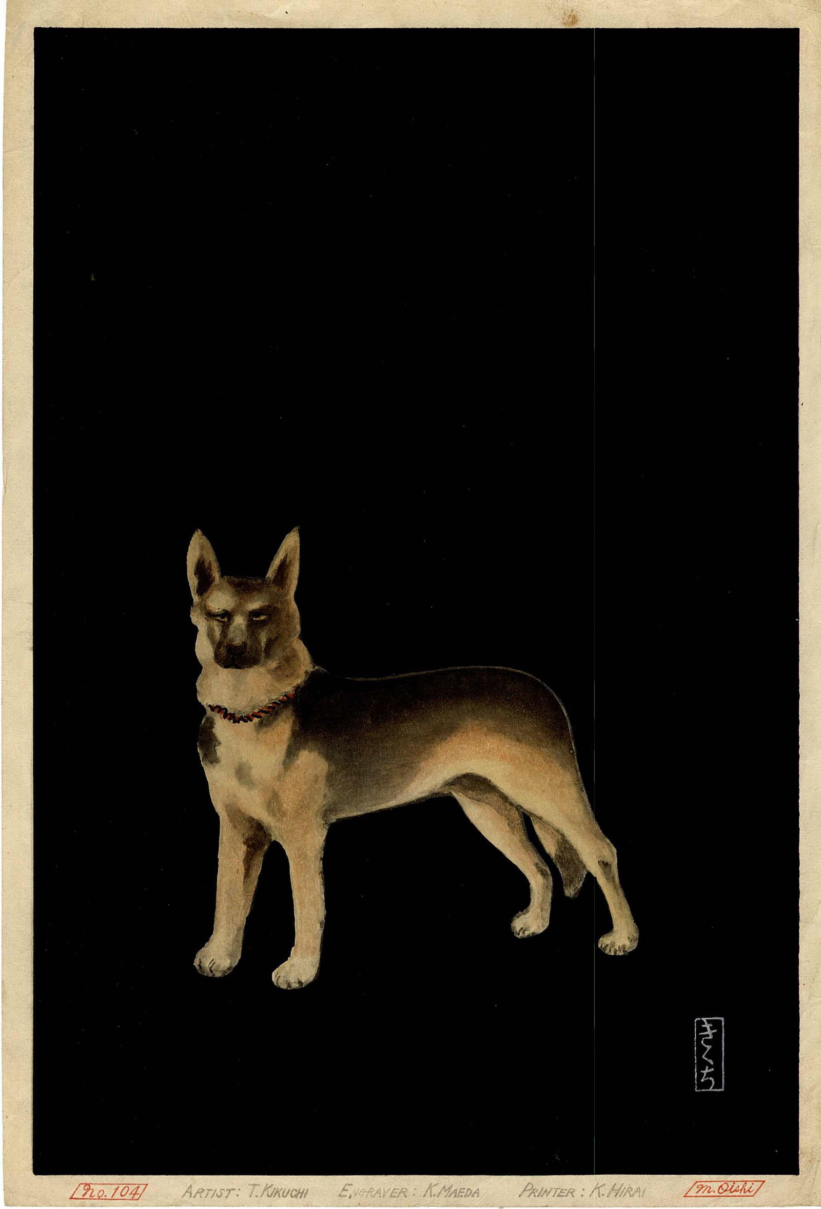T. Kikuchi: German Shepard Woodblock: Japanese Woodblock Print, Showa era shin hanga style, artist, carver, printer listed in bottom margin. Numbered 104. SIZE IN INCHES: oban, 15.5 x 10.25 inches COMMENTS: An unusual woodblock featuring