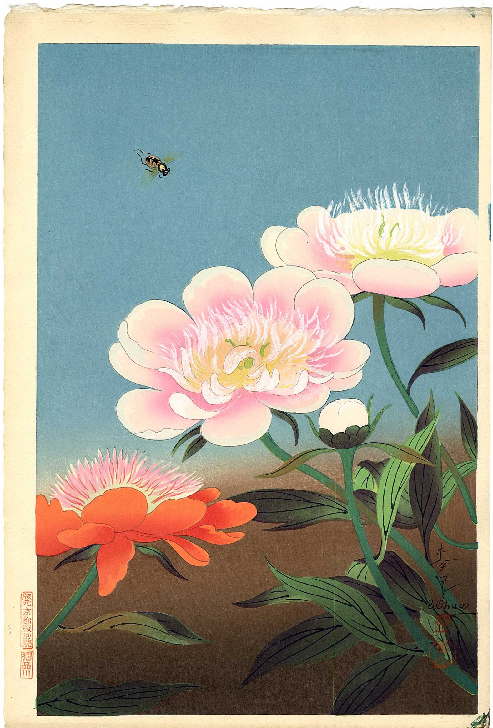 Bakufu Ohno: Bee and Peony 1950s Woodblock: Japanese Woodblock Print, 1950, published by Kyoto Hanga-In SIZE IN INCHES: oban, 10 x 15.5 inches OHNO BAKUFU (1888-1976) was a Japanese painter and printmaker. He was born in Tokyo, Japan. Over his 