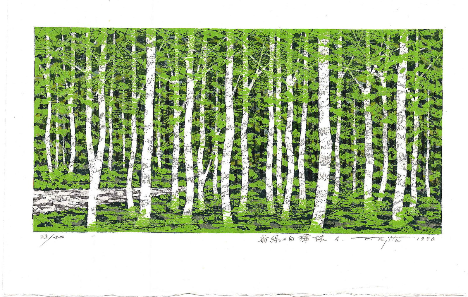 Fumio Fujita: Green Birch Forest 1st Ed 1996 Woodblock: Japanese Woodblock Print, 1996, 1st Edition, self published, pencil signed, titled and numbered 23/200 in the bottom margin SIZE IN INCHES: 18 x 11.5 inches FUJITA FUMIO (b. 1933) was born in Handa Ci