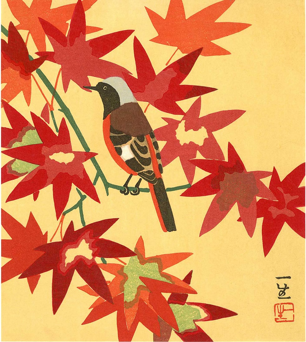 Ichiho Kazumasa: Daurian Redstart and Maple Woodblock: Japanese Woodblock Print, c.1950s, publisher unknown SIZE IN INCHES: shikishi, 9.25 x 10.5 inches COMMENTS: A brilliant autumn composition of crimson maple leaves and a vividly patterned songbird, thi