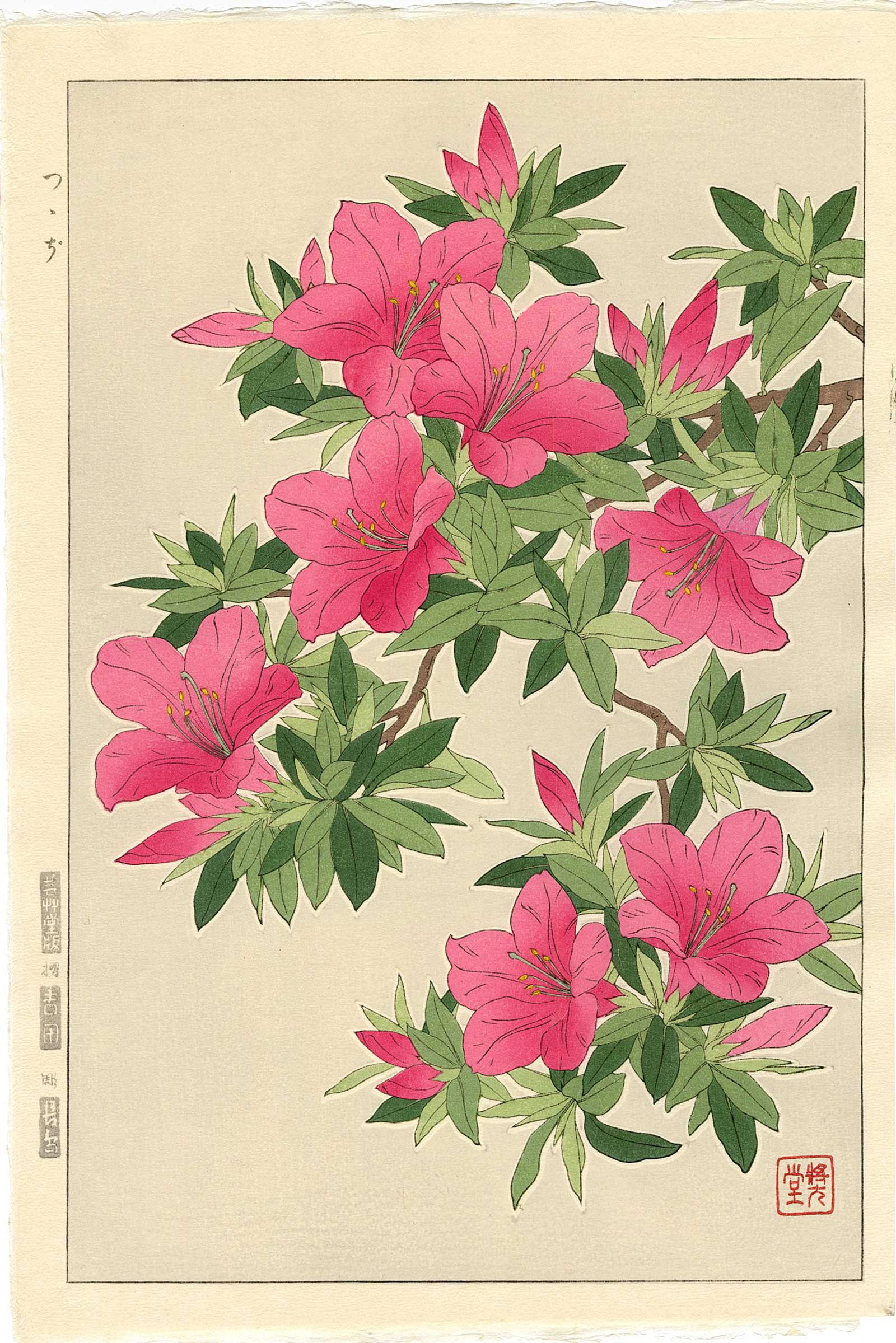 Kawarazaki Shodo: Azalea Blossoms Woodblock (1 of 2)