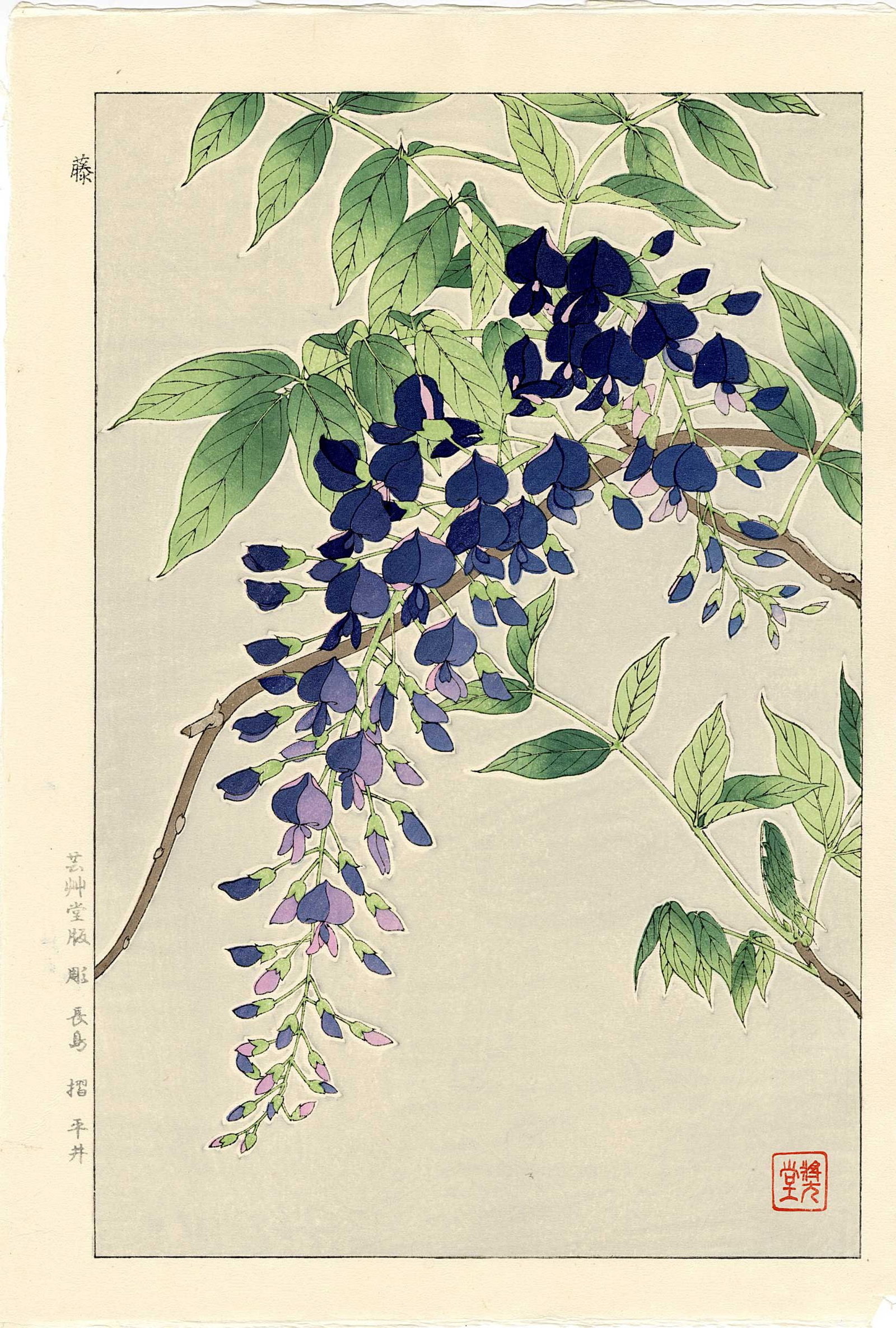 Kawarazaki Shodo: Wisteria Blossoms Woodblock (1 of 2)