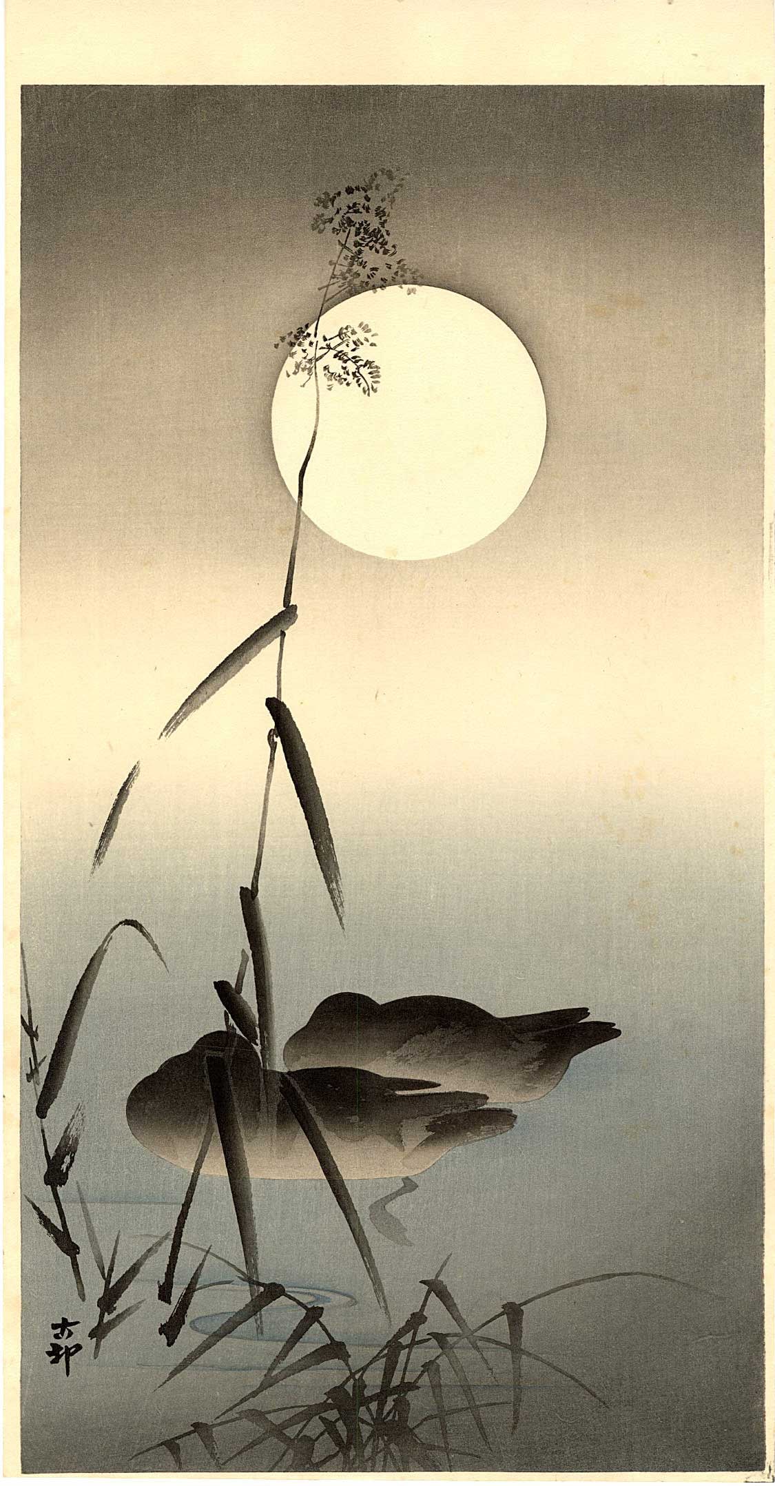 Koson Ohara: Sleeping Duck Under Moon 1920s Woodblock: Japanese Woodblock Print, 1920s, published by Daikokuya SIZE IN INCHES: ohosoban, 7.5 x 14.5 inches PROVENANCE: From the Robert O. Muller estate OHARA KOSON (1877-1945), who also went by the art names