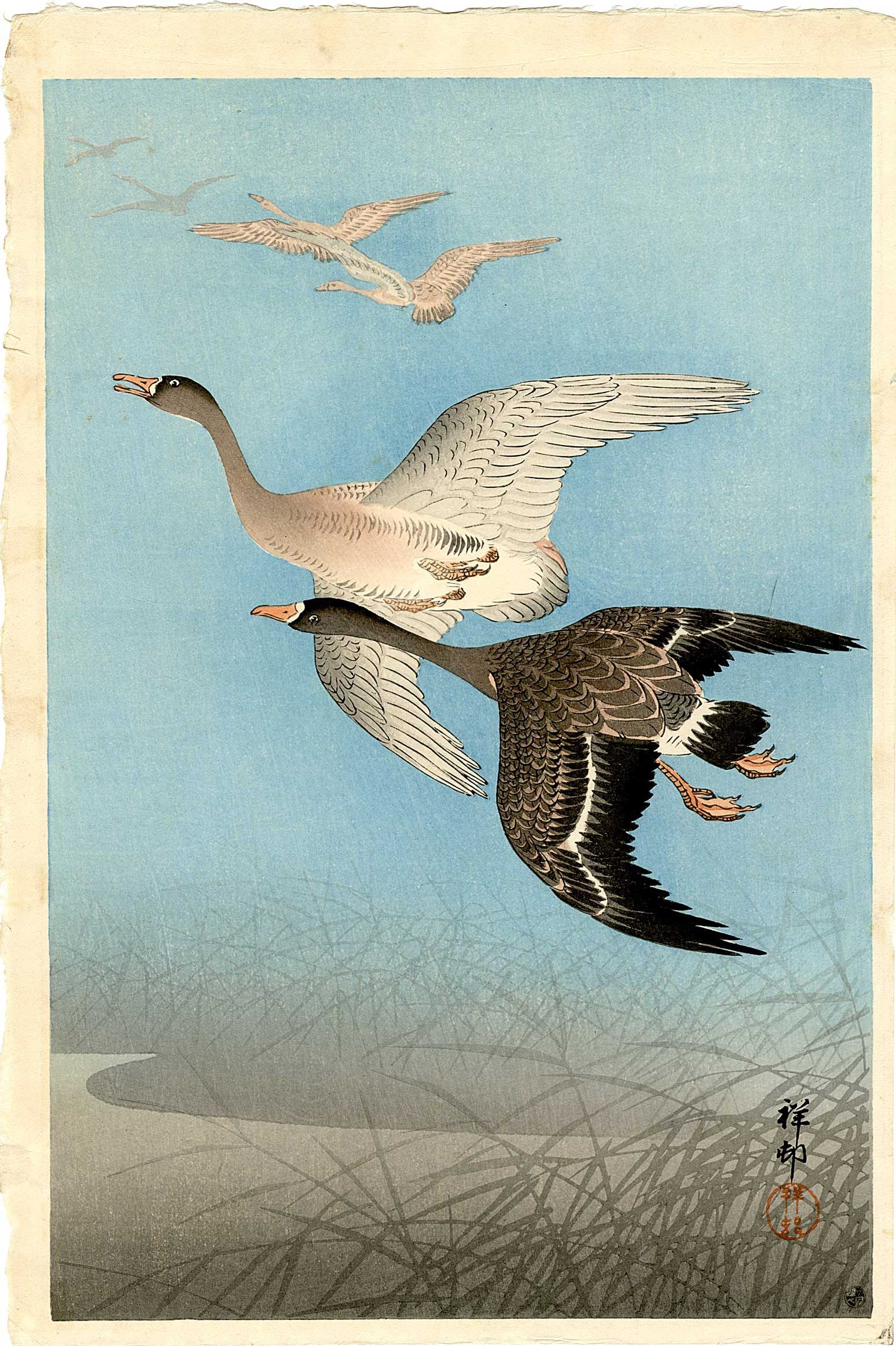 Koson Ohara: Wild Geese in Flight 1926 6mm Woodblock NR: Japanese Woodblock Print, 1926, Watanabe Publisher, 6-mm seal (used 1946-57). SIZE IN INCHES: oban 10.5 x 15.5 inches OHARA KOSON (1877-1945), who also went by the art names of Shoson and Hoson, began