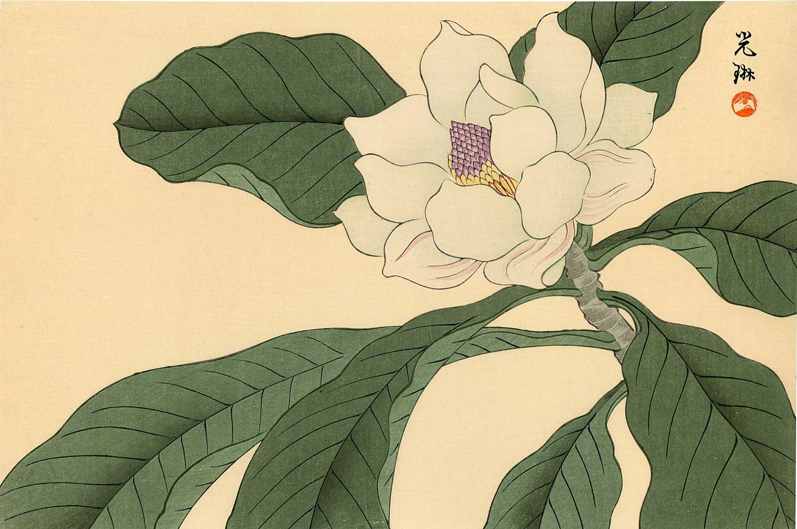 Ogata Korin: Magnolia Blossom 1930s Woodblock (1 of 2)