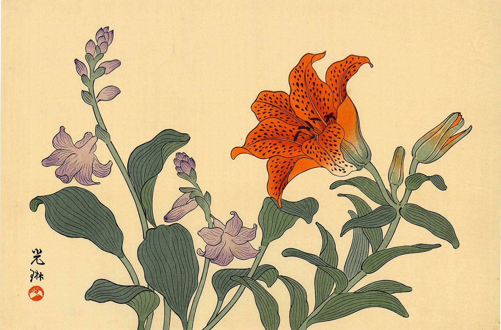 Ogata Korin: Tiger Lily and Hosta 1930s Woodblock (1 of 2)
