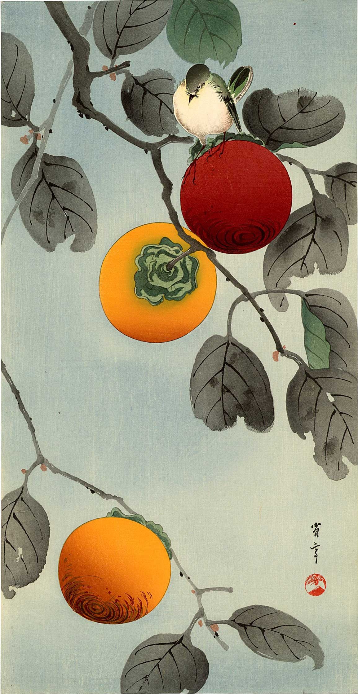 Seitei Watanabe: Nuthatch & Persimmon 1930s Woodblock NR: Japanese Woodblock Print, c.1930, published by the Shima Art Co., signed and sealed Seitei. SIZE IN INCHES: ohosoban, 7.5 x 15 inches PROVENANCE: From the Robert O. Muller estate SEITEI WATANABE (1851