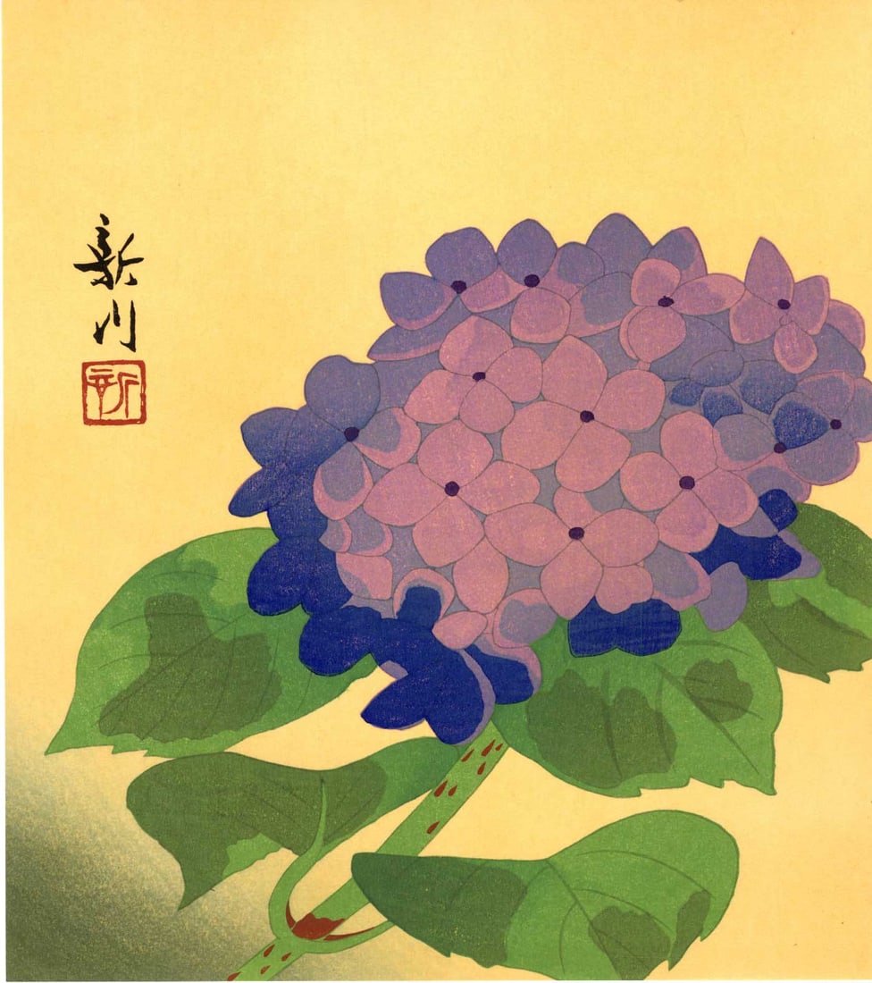 Shinkawa: Purple Hydrangea Woodblock: Japanese Woodblock Print, c.1950s, publisher unknown SIZE IN INCHES: shikishi, 9.25 x 10.5 inches COMMENTS: This vibrant hydrangea woodblock print captures the lush, layered petals in rich purples and