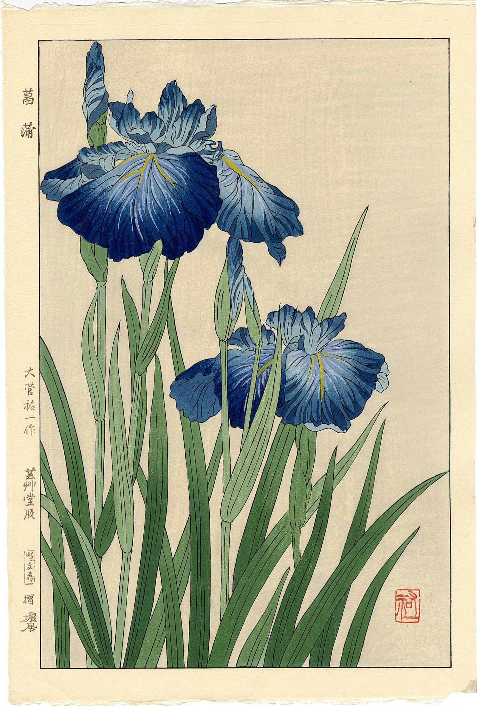 Yuichi Osuga: Blue Iris 1954 Woodblock (1 of 2)