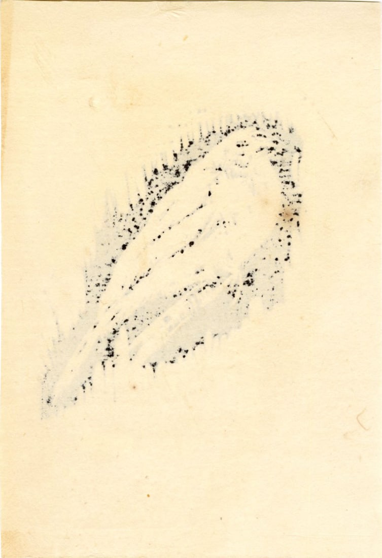 Not Signed: Bird Woodblock - 2