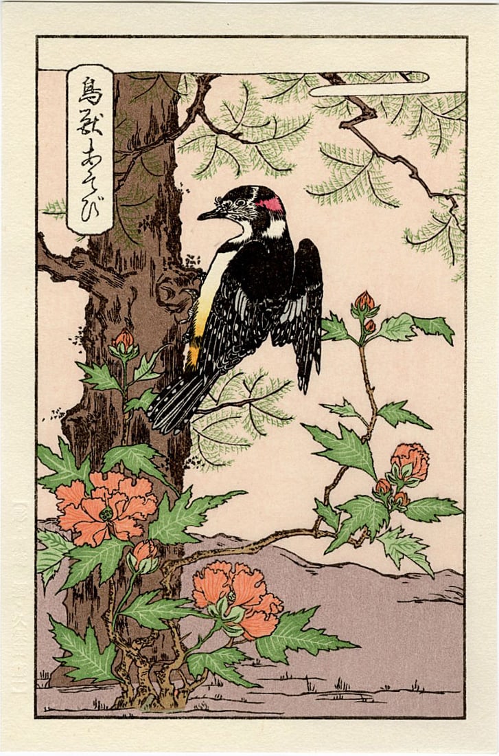 Isoda Koryusai: Woodpecker Woodblock: Japanese Woodblock Print, 2021, carver/printer David Bull, from the series Scenes from Nature SIZE IN INCHES: 5.5 x 8 inches ISODA KORYUSAI (1735?1790) was an incredibly prolific 18th-century Japanese