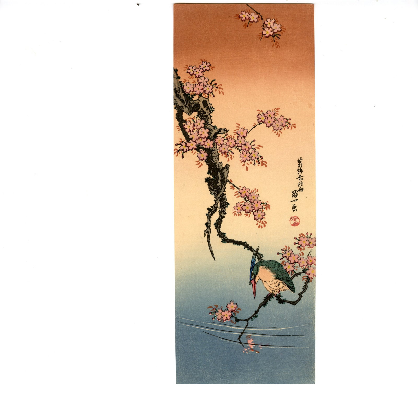 Hokusai Katsushika: Kingfisher on Cherry Woodblock: Japanese Woodblock Print,1930s, published by Nishinomiya SIZE IN INCHES: 4 x 11 inches KATSUSHIKA HOKUSAI (1760-1849), who also used the names Shunro, Sori, Kako, Taito, Gakyojin, Iitsu, and Manji,