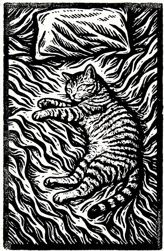 Haley L.: Cozy Cat 2026 Woodblock (1 of 3)