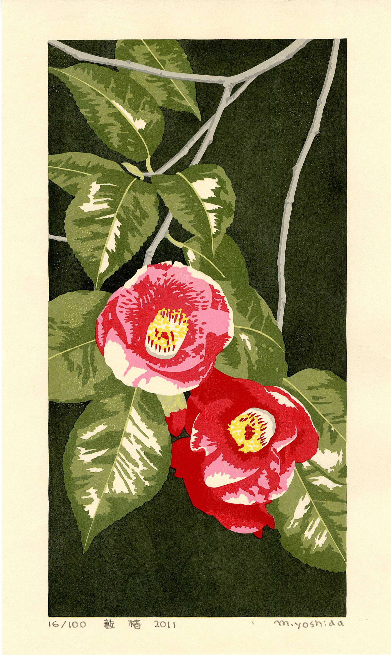 Masaki Yoshida: Japanese Camellia 2011 1st Ed Woodblock: Japanese Woodblock Print, 2011, self-published, pencil signed, dated, titled and numbered 16/100 SIZE IN INCHES: 9.5 x 15.5 inches MASAKI YOSHIDA (1947?2019) was a celebrated contemporary Japanese