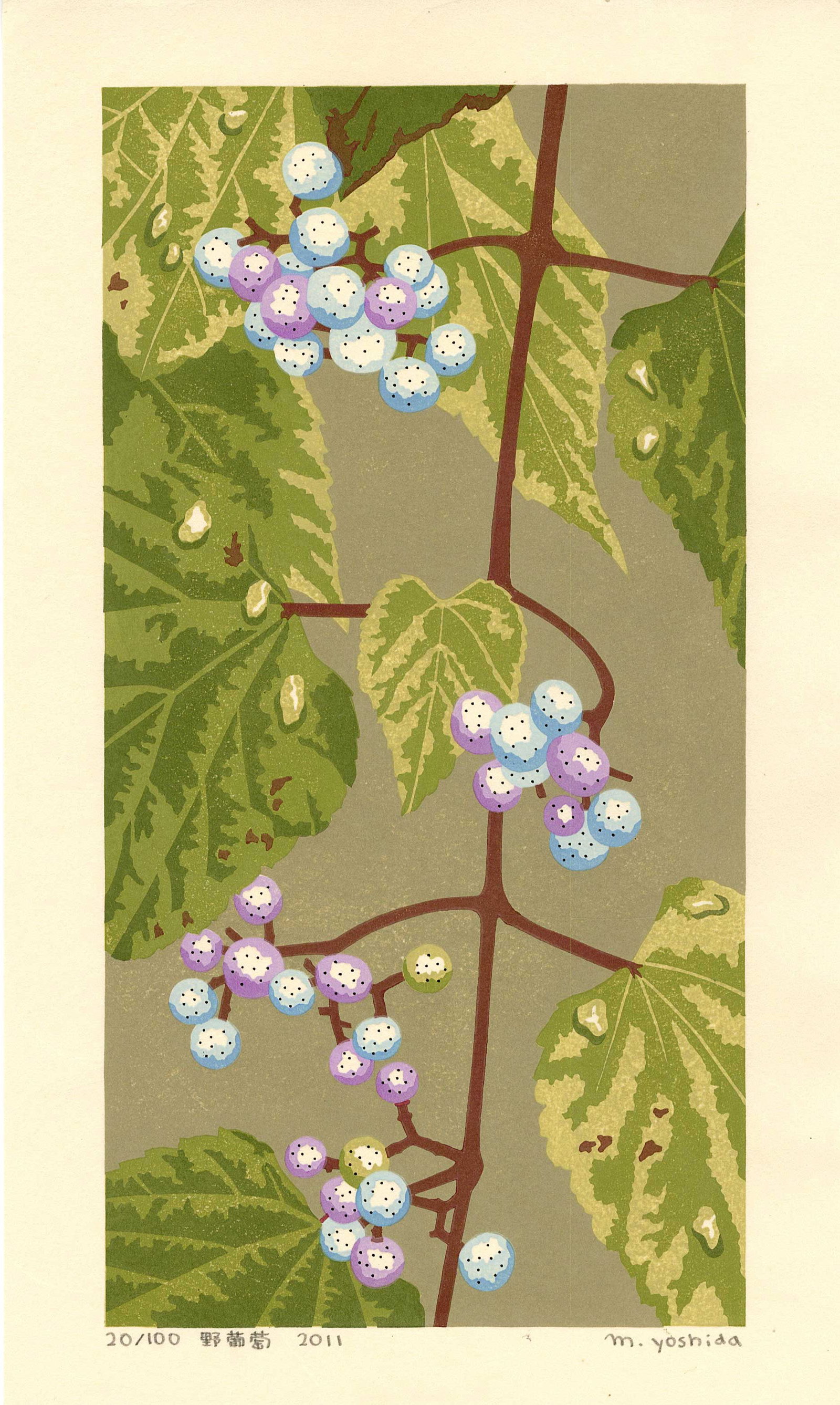 Masaki Yoshida: Wild Grapes 2011 1st Ed Woodblock: Japanese Woodblock Print, 2011, self-published, pencil signed, dated, titled and numbered 20/100 SIZE IN INCHES: 9.5 x 15.5 inches MASAKI YOSHIDA (1947?2019) was a celebrated contemporary Japanese pri