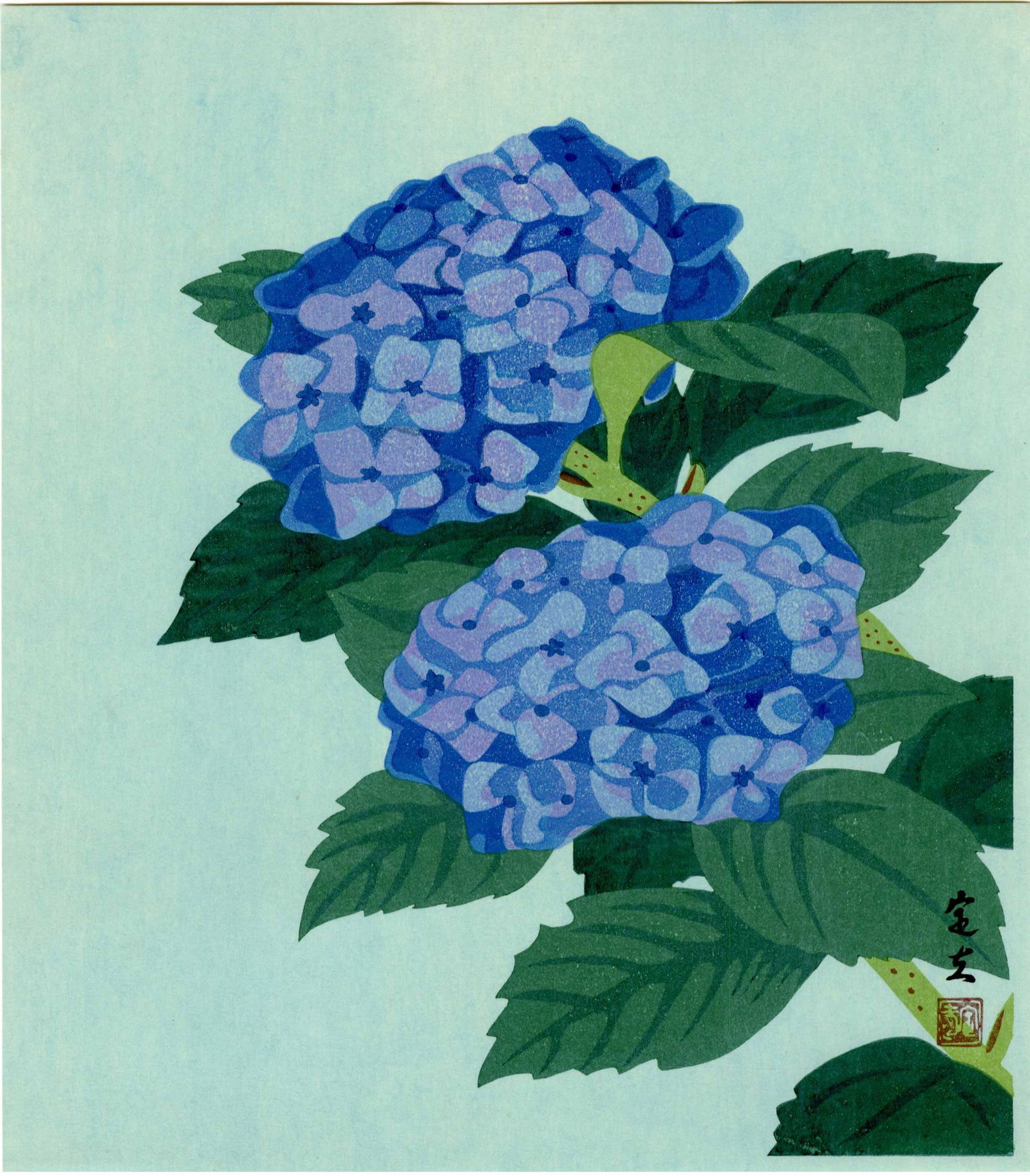 Not Read: Hydrangeas Woodblock: Japanese Woodblock Print, undated SIZE IN INCHES: 9.75 x 11 inches COMMENTS: In Japanese culture, hydrangeas - known as ajisai - are deeply intertwined with the arrival of the summer rainy season (tsu