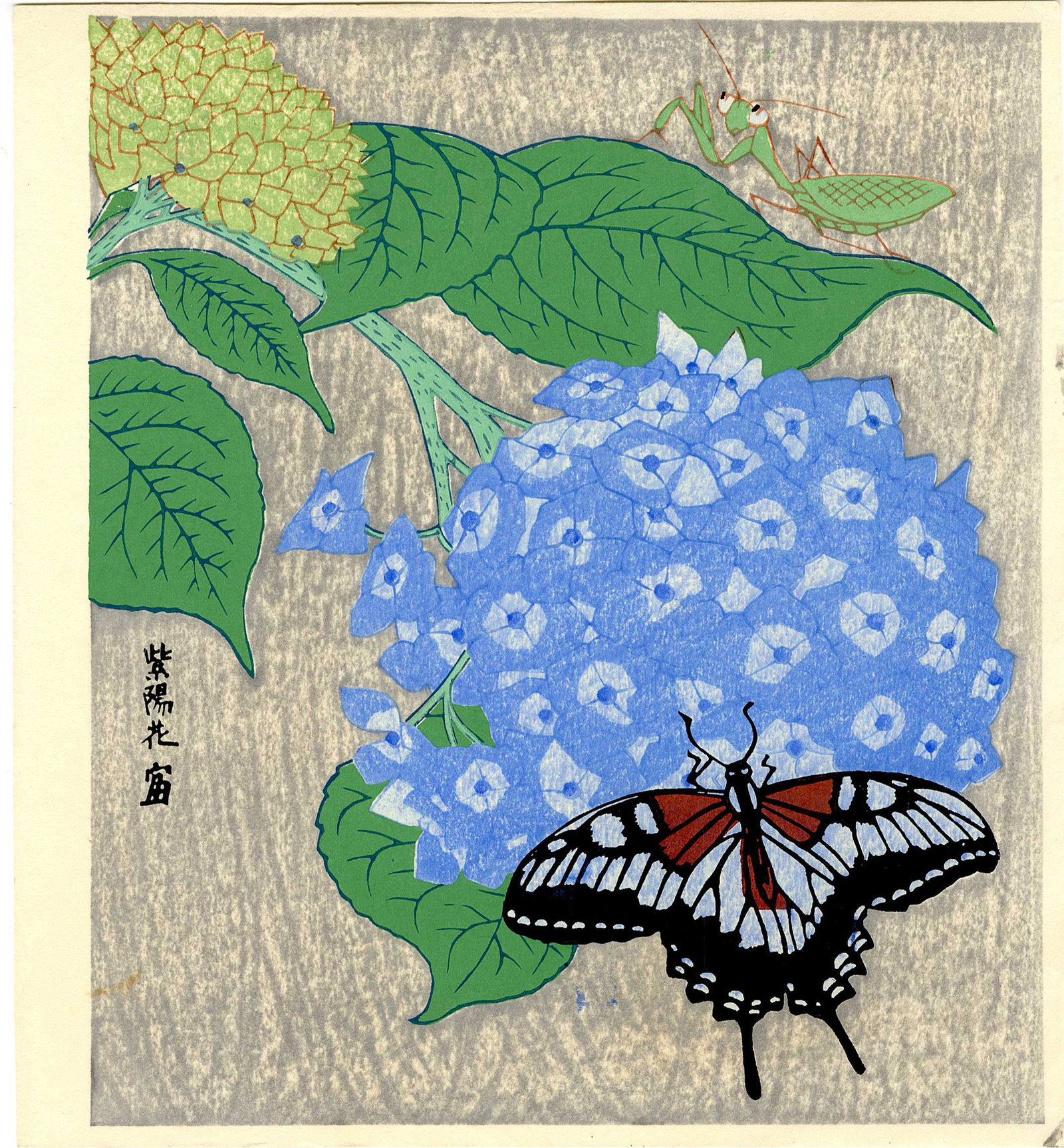 Tokuriki Tomikichiro: Hydrangea and Butterfly Woodblock: Japanese Woodblock Print, c.1950, published by Matsukyu (Tokuriki's self-established post-war publishing company. SIZE IN INCHES: 10.5 x 11.25 inches TOKURIKI TOMIKICHIRO'S (1902-2000) woodblock print