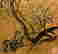 item-131599838=13