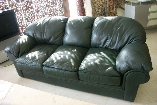 137 Contemporary Viewpoint Leather Sofa Spruce Green 137 Contemporary Viewpoint Leather Sofa Spruce Green