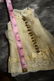 ANTIQUE VINTAGE BISQUE GERMAN FRENCH DOLL CLOTHING 5/20 - 2