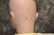 24 1/2" ANTIQUE HEINRICH HANDWERCK - 4