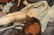24 1/2" ANTIQUE HEINRICH HANDWERCK - 5