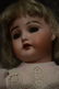 ANTIQUE GERMAN BISQUE HEAD DOLL ~ 191 ~ - 2