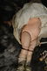 MESMERIZING ANTIQUE KAMMER & REINHARDT ~ 115 A ~ - 7