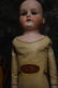 ANTIQUE BISQUE SHOULDERHEAD ~ 20 1/2" ~ - 2