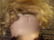 CLASSIC CUTIE ~ KESTNER - MARVEL BUTLER BROS ~ - 4