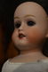 ANTIQUE SHOULDER HEAD ~ MORIMURA BROS ~ - 4