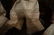 LOT OF 5 PAIRS ANTIQUE PANTALOONS - 3