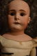ANTIQUE BISQUE SHOULDERHEAD w KID LEATHER BODY - 3