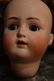 ANTIQUE BISQUE DOLL HEAD ~ ABG ~