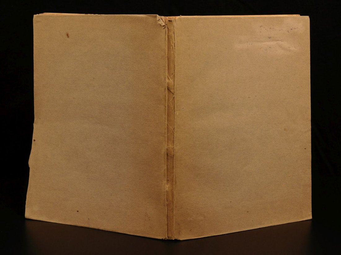 1581 1st Instance of SHROUD of TURIN Story Pingone (1 of 10)