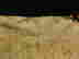 item-55852187=4