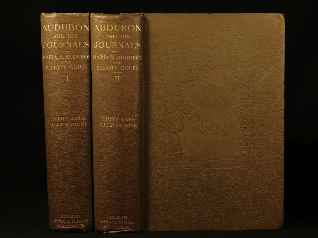 1898 1ed James Audubon Travel Journals Illustrated (1 of 20)