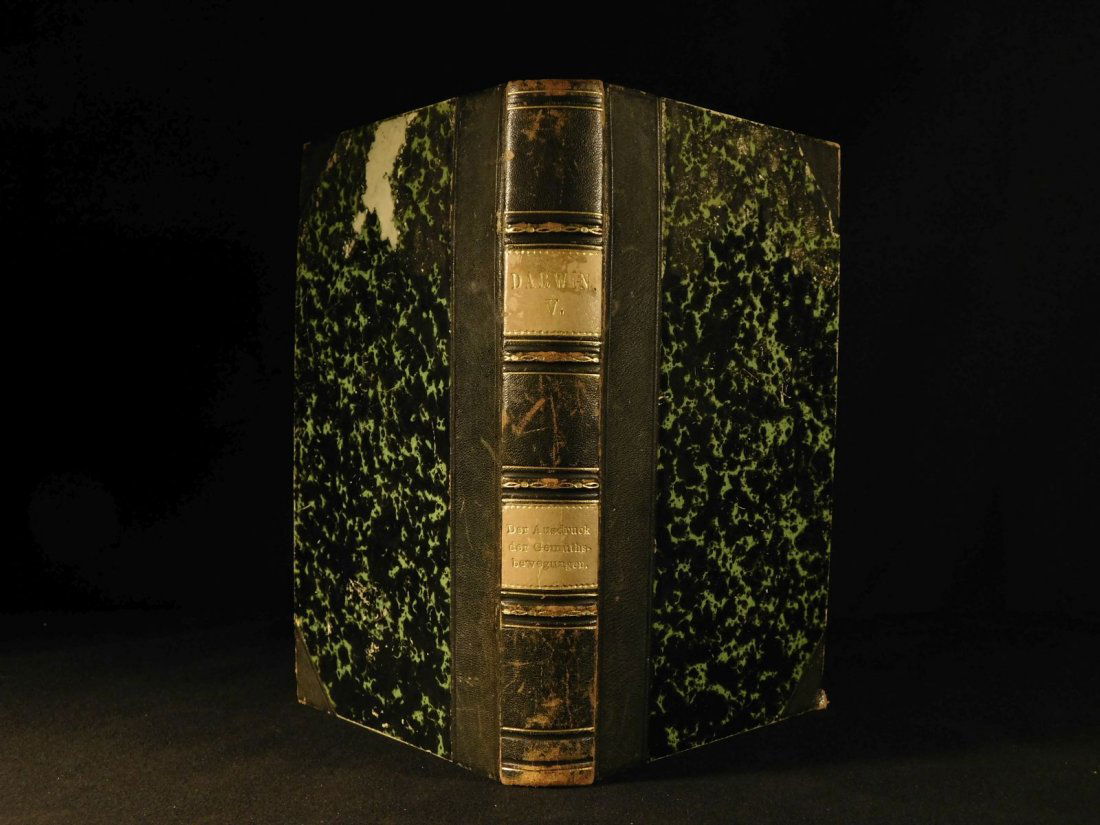 1874 Charles Darwin Expression of the Emotion Evolution (1 of 20)