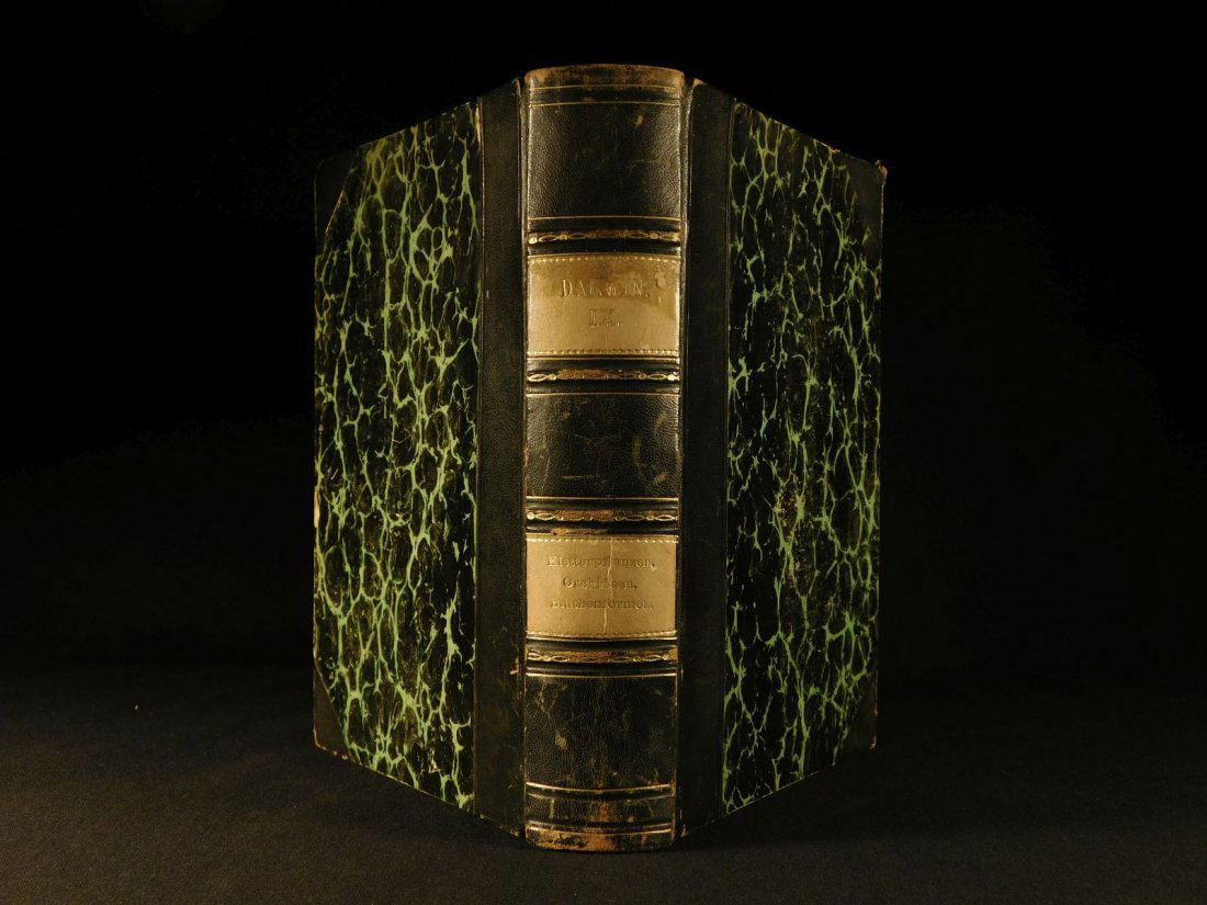 1876 Charles Darwin Climbing Plants Biology Botany (1 of 19)