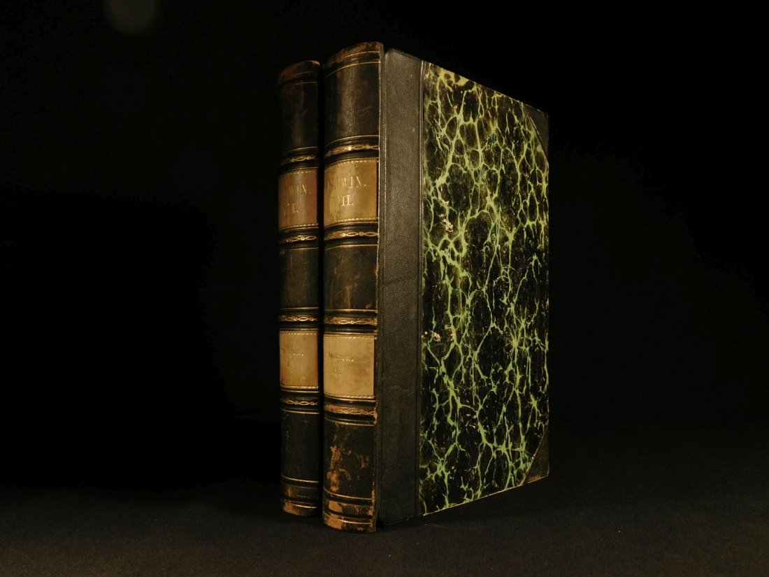 1878 Charles Darwin Variation Under Domestication Biolo (1 of 20)