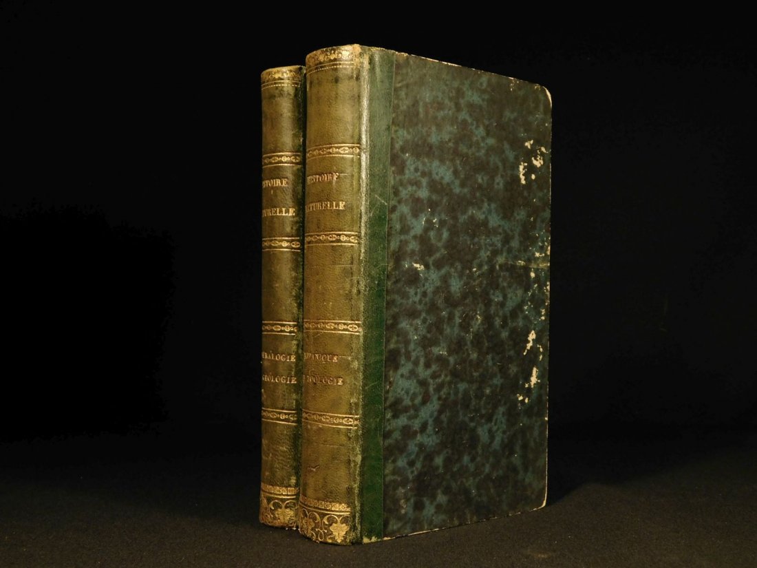 1833 Delafosse Natural History Science Mineralogy (1 of 20)