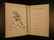 1886 1ed Lewis Carroll A Tangled Tale Mathematics - 2