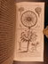 1739 1ed Astrology Cosmogony Occult Pagan Egyptian Myth - 7