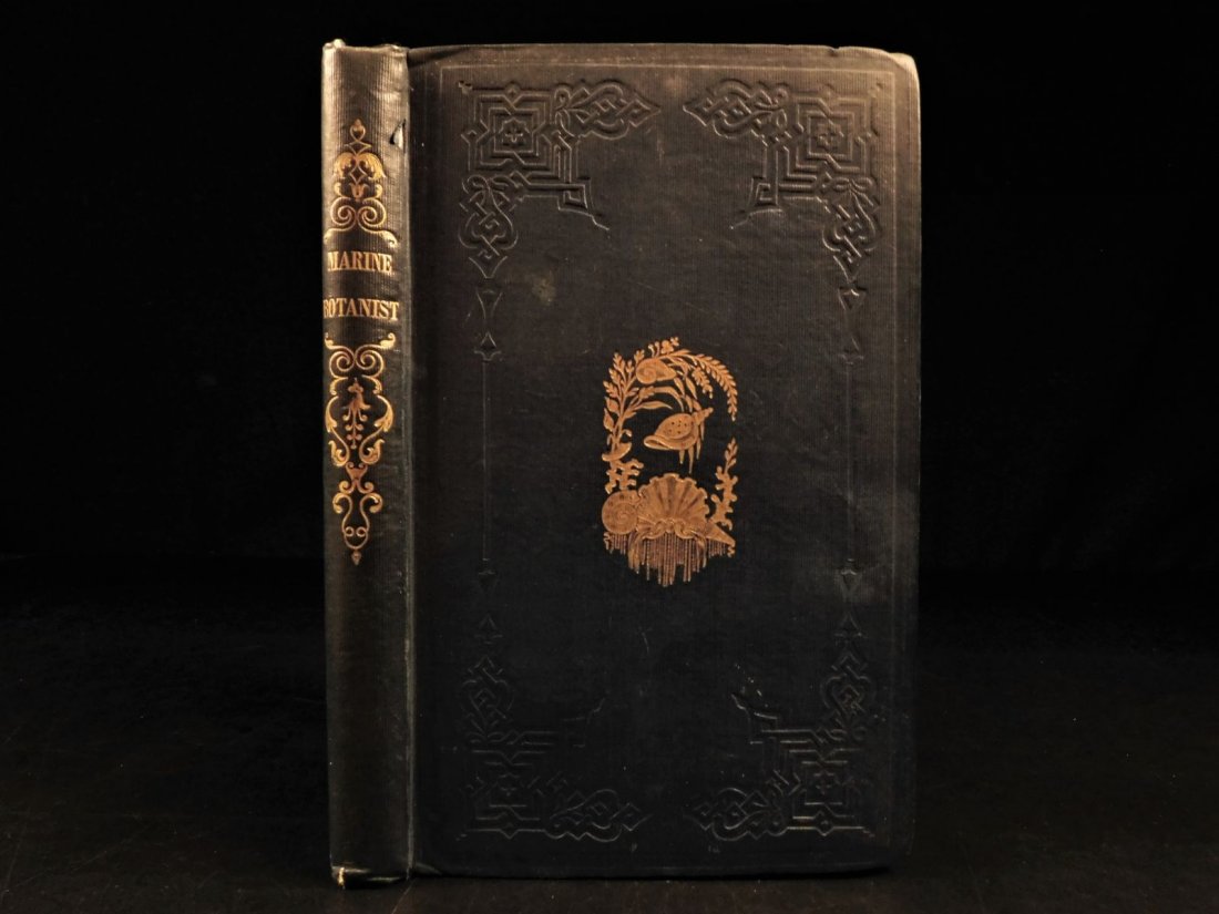 1848 Marine Botany British Seaweed & Algae Algology (1 of 10)